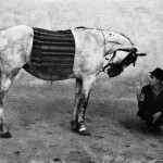 1. Josef Koudelka, Romania, 1968