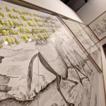 Pietro Ruffo, The Political Gymnasium, 2011, geafite su carta, spilli, tela