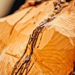 Senza titolo, legno e resina di pino, 210  cm, 2011