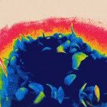 Petals