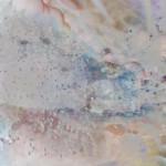 MikelleStandbridge-acquario