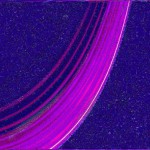 Violet wake