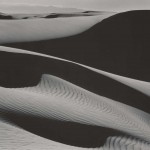 CCP_81252139