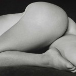 CCP_81252200