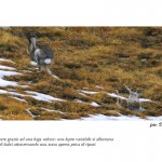 mostra-Biodiversità_CMS