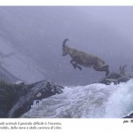 mostra-biodiversità-4_CMS