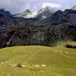 mostra-biodiversità-5_CMS