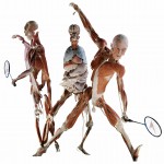 WBP_BadMinton_F