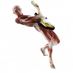 WBP_Guitarrist_01_path