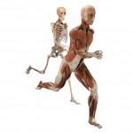 WBP_RelayRace_side