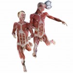 WBP_SoccerTeam_02_path