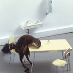 cattelan, maurizio cattelan, maurizio