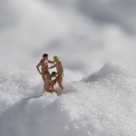 Happy New Year 2013 by Mr Peluche - © 2012  Mr Peluche02