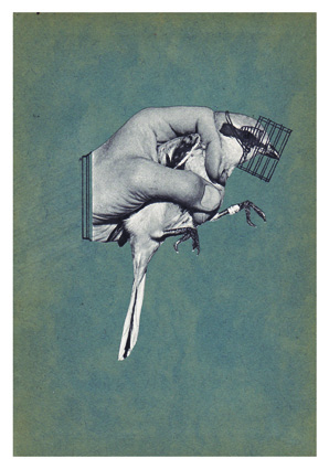 System and accidents